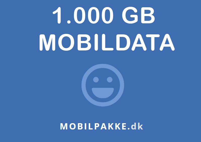 1000 GB data